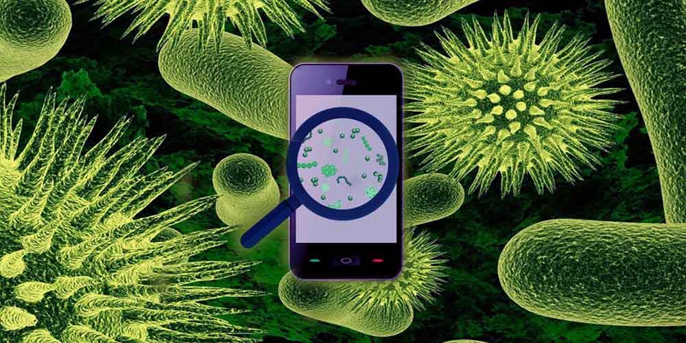 Вірус грипу «живе» 24 години на поверхнях із пластику і 8 годин на сенсорних екранах   