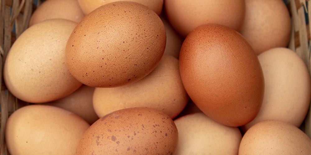 Одно яйцо в день безвредно даже при сердечно-сосудистых заболеваниях