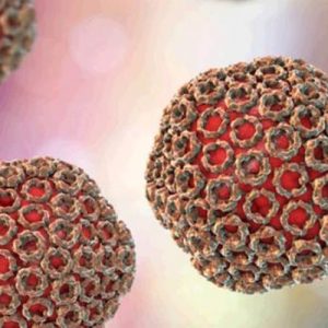Хантавирус не поспособствует новой эпидемии в Китае 