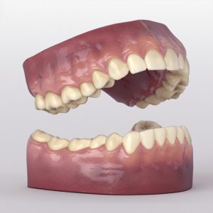 Ученые обнаружили, что зубы, подобно кольцам деревьев, «записывают» все происходящее в жизни человека