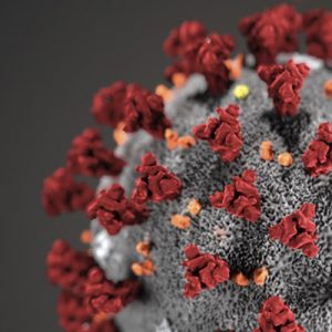 Исследователи: у вируса SARS-CoV-2 есть два типа