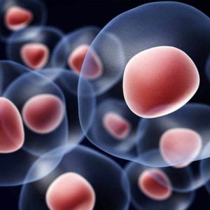 Вливания стволовых клеток успешно лечат воспаление легких, вызванное коронавирусом