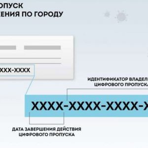 Из-за коронавируса в Москве ввели обязательные цифровые пропуска 