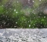 Ученые выяснили, почему многим людям так нравится запах дождя