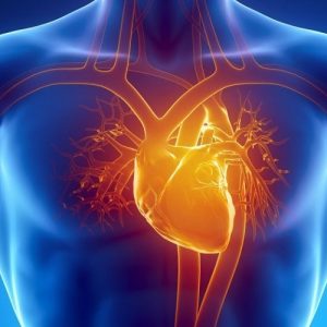 Как COVID-19 дает осложнения на сердечнососудистую систему