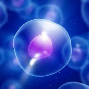 В Японии новорожденному впервые пересадили стволовые клетки для восстановления печени