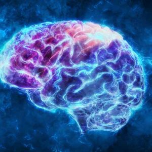 Ученые создали систему для протеза головного мозга 