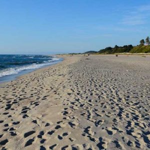 Ученые оценили реальность заражения коронавирусом на пляже