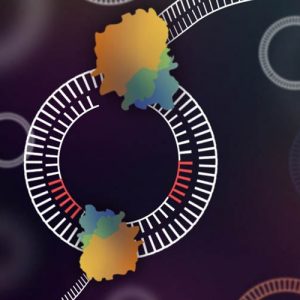 Ученые создали инструмент секвенирования кольцевой ДНК, что должно помочь в борьбе с вирусами 