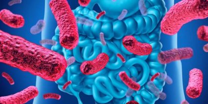 Специфические типы кишечных бактерий становятся причиной задержки роста