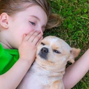 Собака в семье делает ребенка более общительным, осторожным и активным