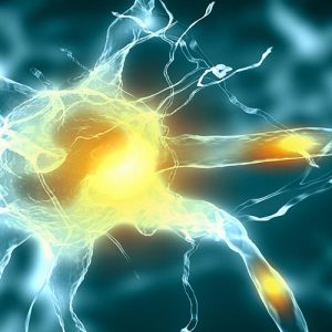 Ученые нашли способ ускорить процесс восстановления нервов