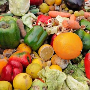 Швейцария хочет сократить количество пищевых отходов на 50%