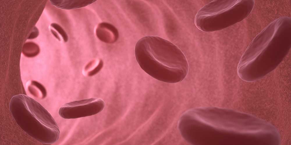 Ученые научились быстро расширять кровеносные сосуды
