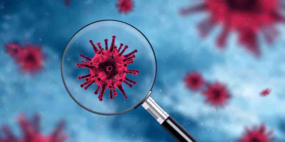 Активация иммунных клеток при тяжелой форме COVID-19 происходит, как при красной волчанке