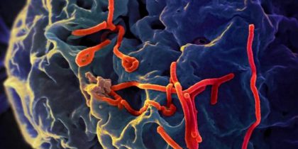 Ученые научились быстрее отслеживать различные патогены