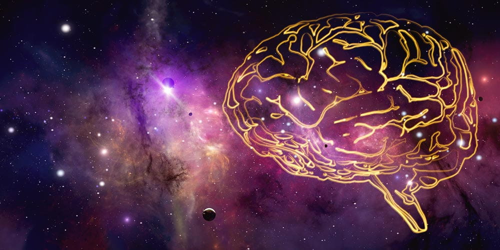 Сети космических галактик и нейронных клеток в человеческом мозге имеют много общих черт