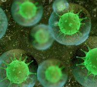 У людей, которые не болели коронавирусом, также обнаружили антитела