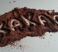 Флаванолы какао повышают умственные способности человека