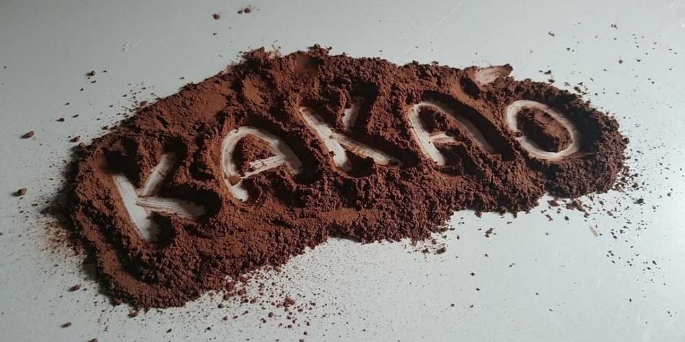 Флаванолы какао повышают умственные способности человека