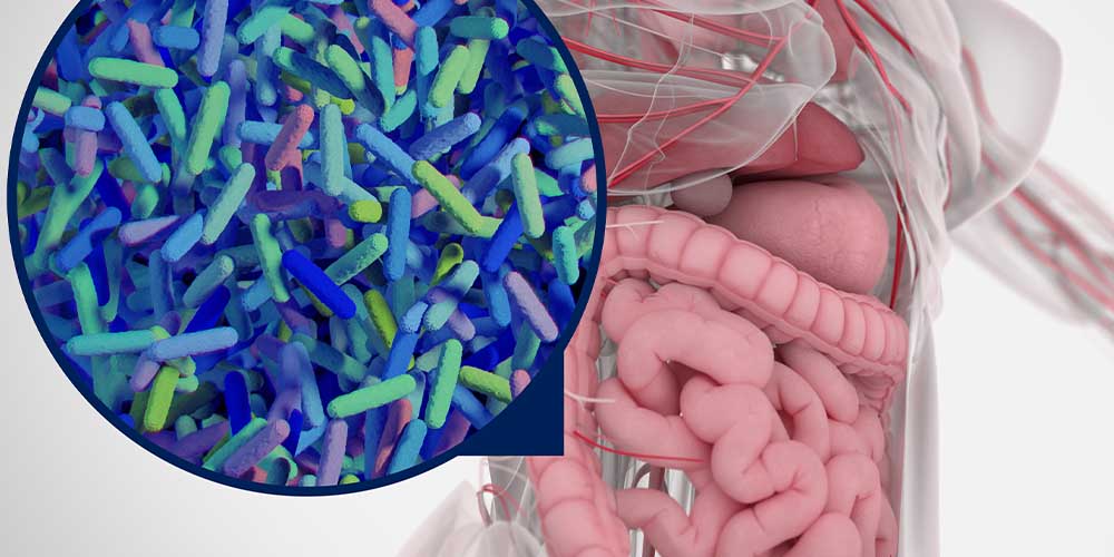 Нанопластик влияет на микробиом кишечника человека