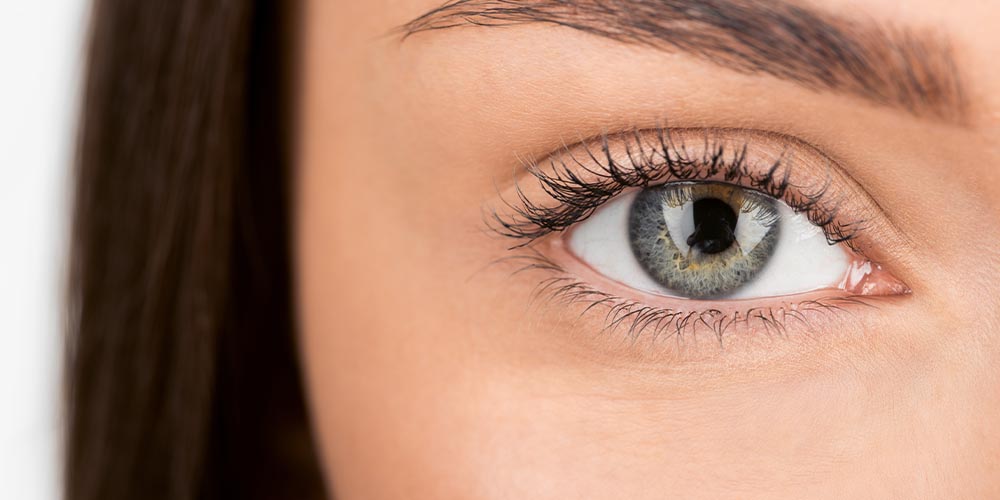 Ученые научились реанимировать глаза и проводить на них испытания