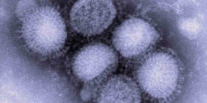 В Украине фиксируют распространение вирусов гриппа А и В