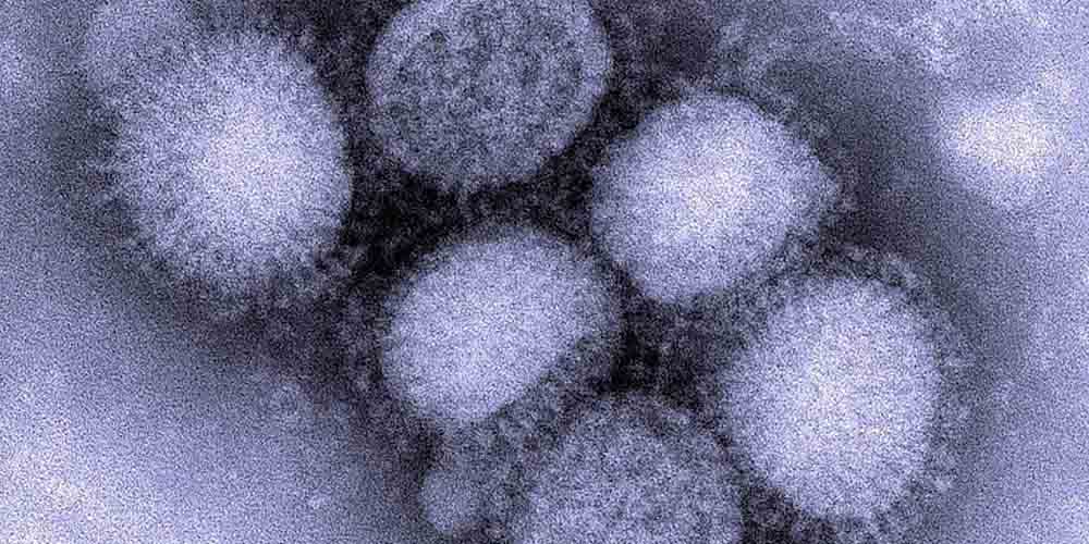 В Україні фіксують розповсюдження вірусів грипу А та В