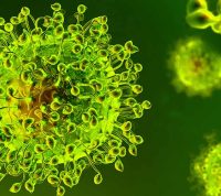 В Великобритании выявили новую мутацию коронавируса
