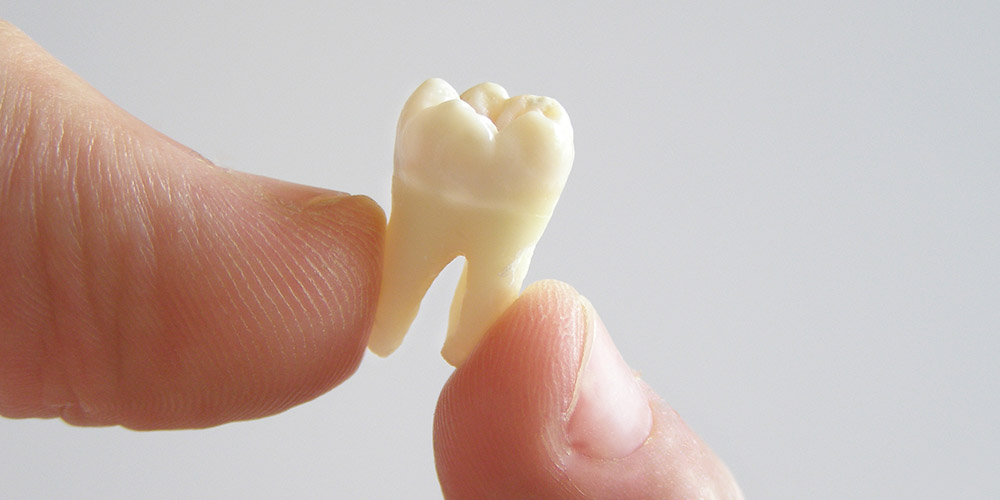 Ученые все-еще не могут вырастить человеческий зуб вне организма
