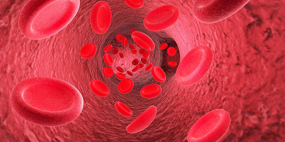 Кровь может содержать ключи к разгадке загадочных симптомов COVID-19