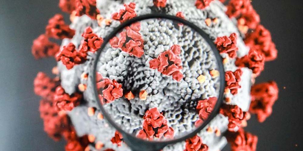 В Китай прибыли эксперты ВОЗ, чтобы исследовать происхождение коронавируса