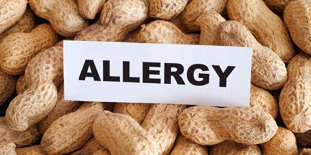 Арахис и пшеница – виновники большинства пищевых аллергий