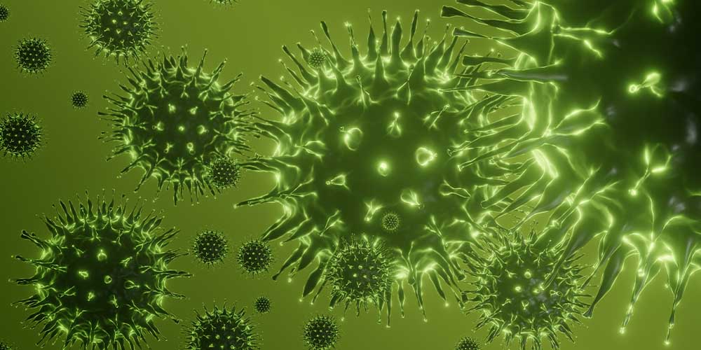 Год с коронавирусом: на какие вопросы наука имеет ответы