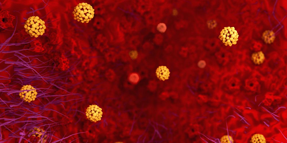 Ученые наблюдали, как коронавирус повреждает клетки легких за считанные часы