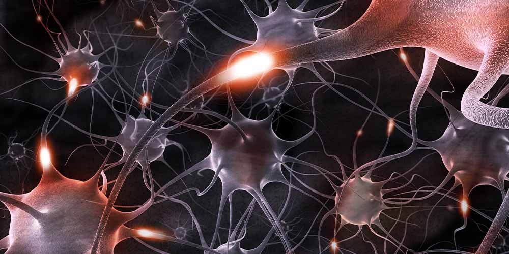Ученые выяснили, какие клетки мозга играют важную роль при заикании