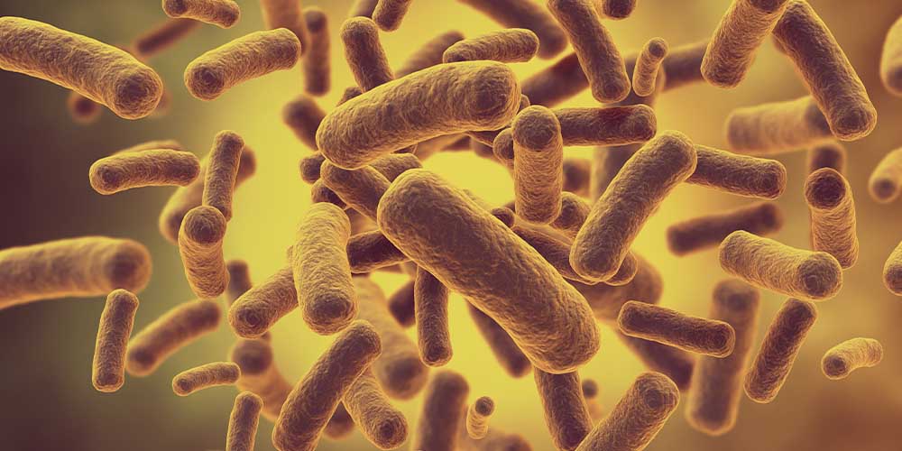 Ученые выяснили, что бактерии меняют форму, чтобы избежать влияния антибиотиков