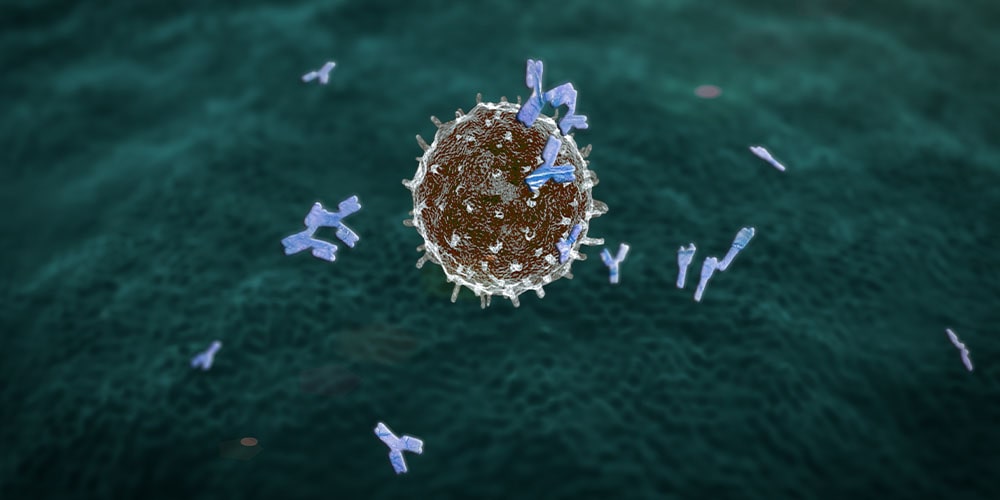 Антитела к другим коронавирусам не защищают от SARS-CoV-2-новое исследование