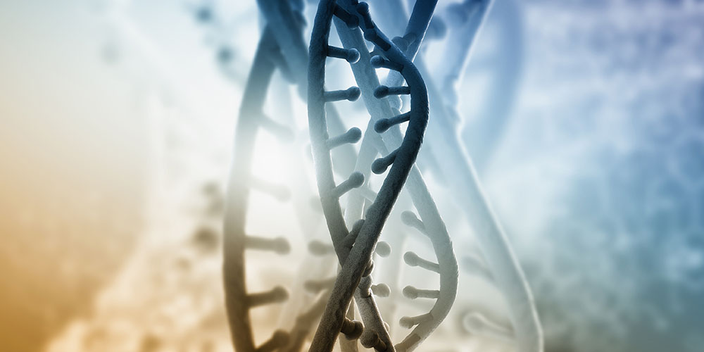 Ученые обнаружили ген, который может быть связан с предрасположенностью к инсультам