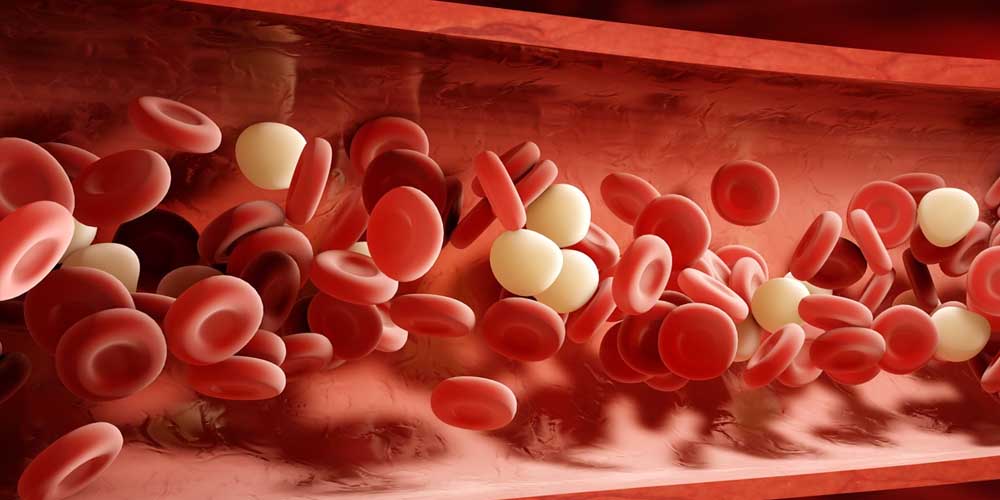 Профилактический прием разжижающих кровь препаратов связан с пониженным риском смерти у пациентов с COVID-19