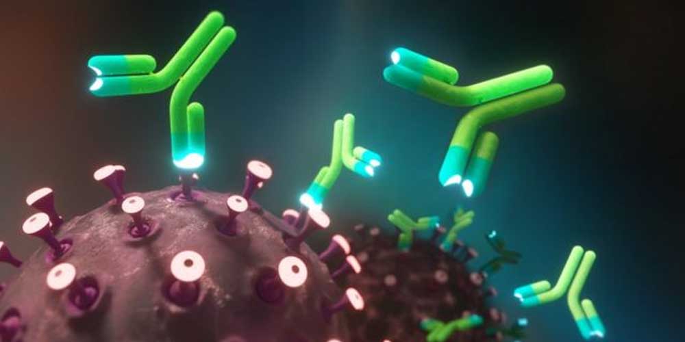 Антитела к коронавирусу ослабевают с разной скоростью – ученые