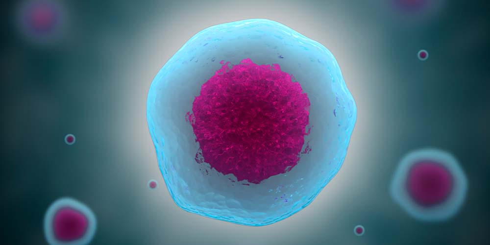 Ученые просят дать им больше полномочий в работе с человеческими эмбрионами