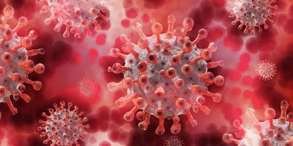 Вчені США підтвердили противірусну активність діючої речовини протефлазід