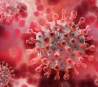 Ученые США подтвердили противовирусную активность действующего вещества протефлазид