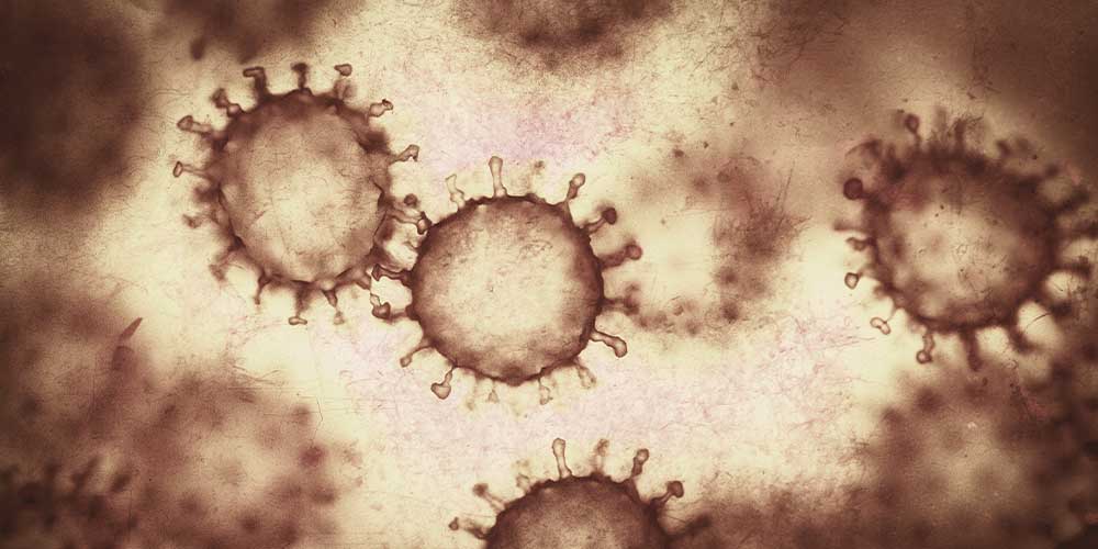 В Анголе обнаружили штамм коронавируса с 34 мутациями