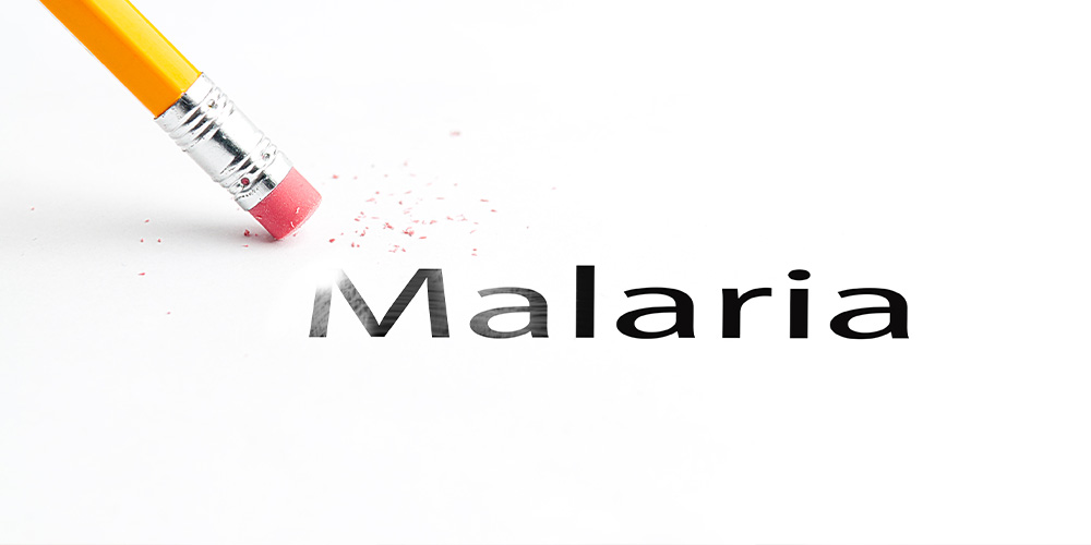ВОЗ планирует победить малярию к 2025 году