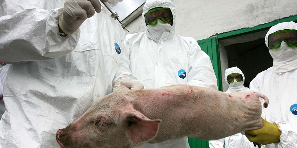 В Висконсине подтвержден случай заболевания новым видом свиного гриппа