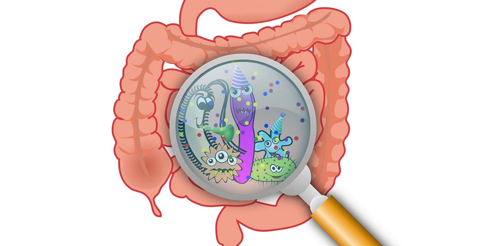 Ученые проследили развитие и становление кишечной микробиоты у детей