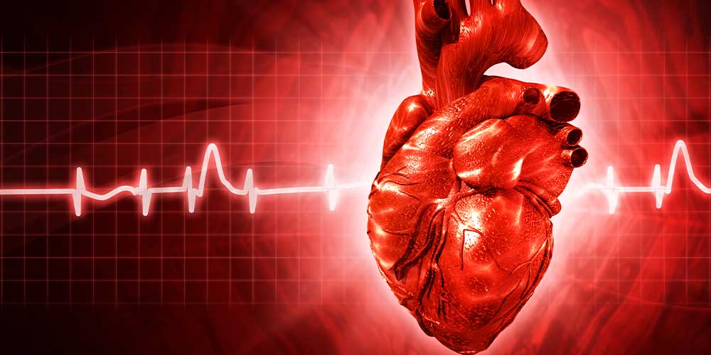 Гипертрофическая кардиомиопатия часто становится причиной внезапной смерти среди молодых людей, особенно спортсменов