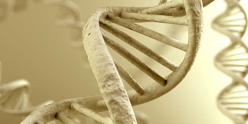 SARS-CoV-2 может внедряться в человеческий геном – ученые